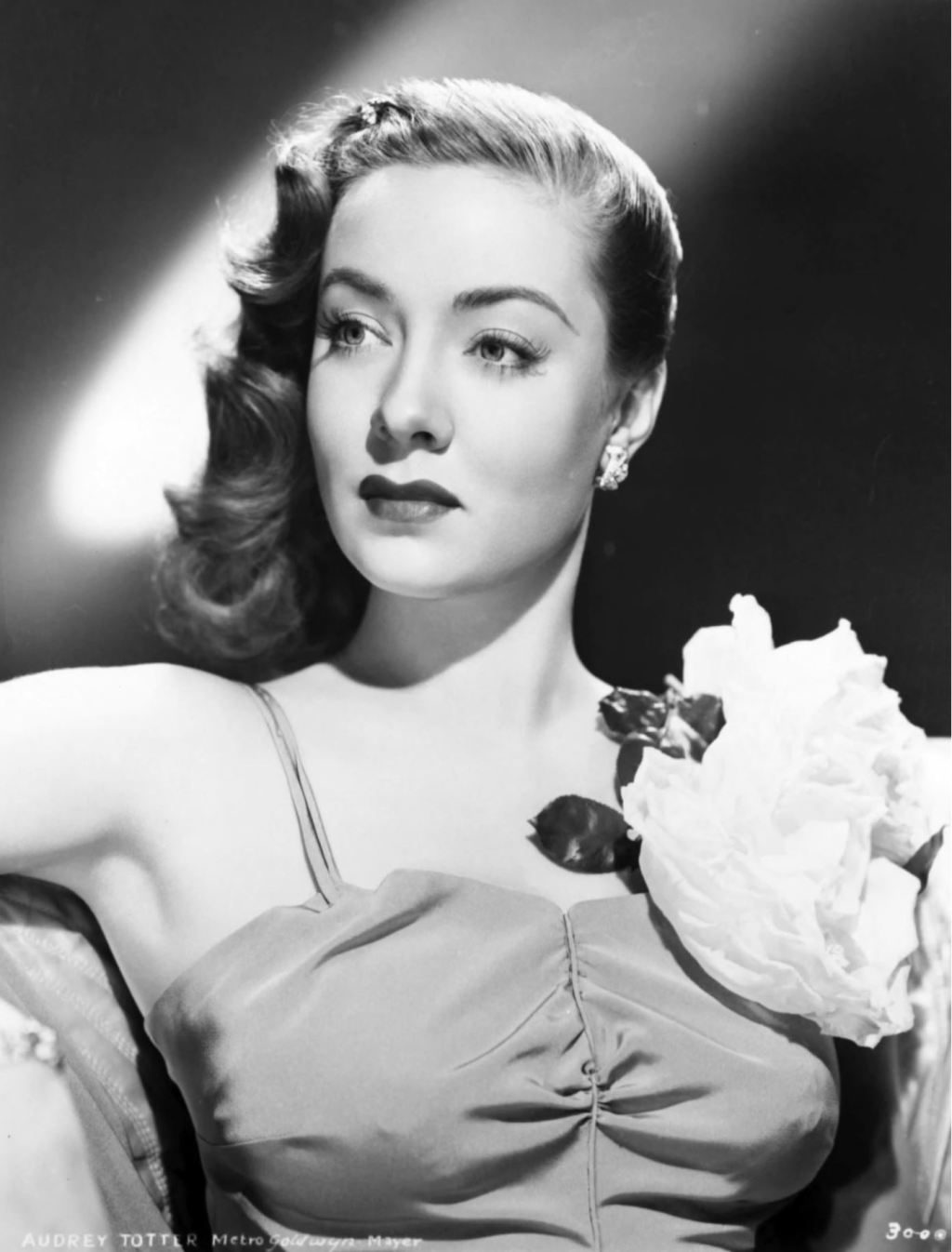 Poem – “Partner Undermined” – Romanticism –&nbsp;12/16/2020