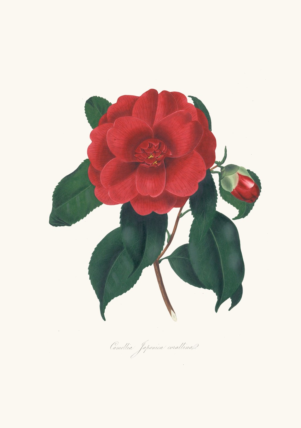 Poem – “A Reused Winter” – 5/4/2024