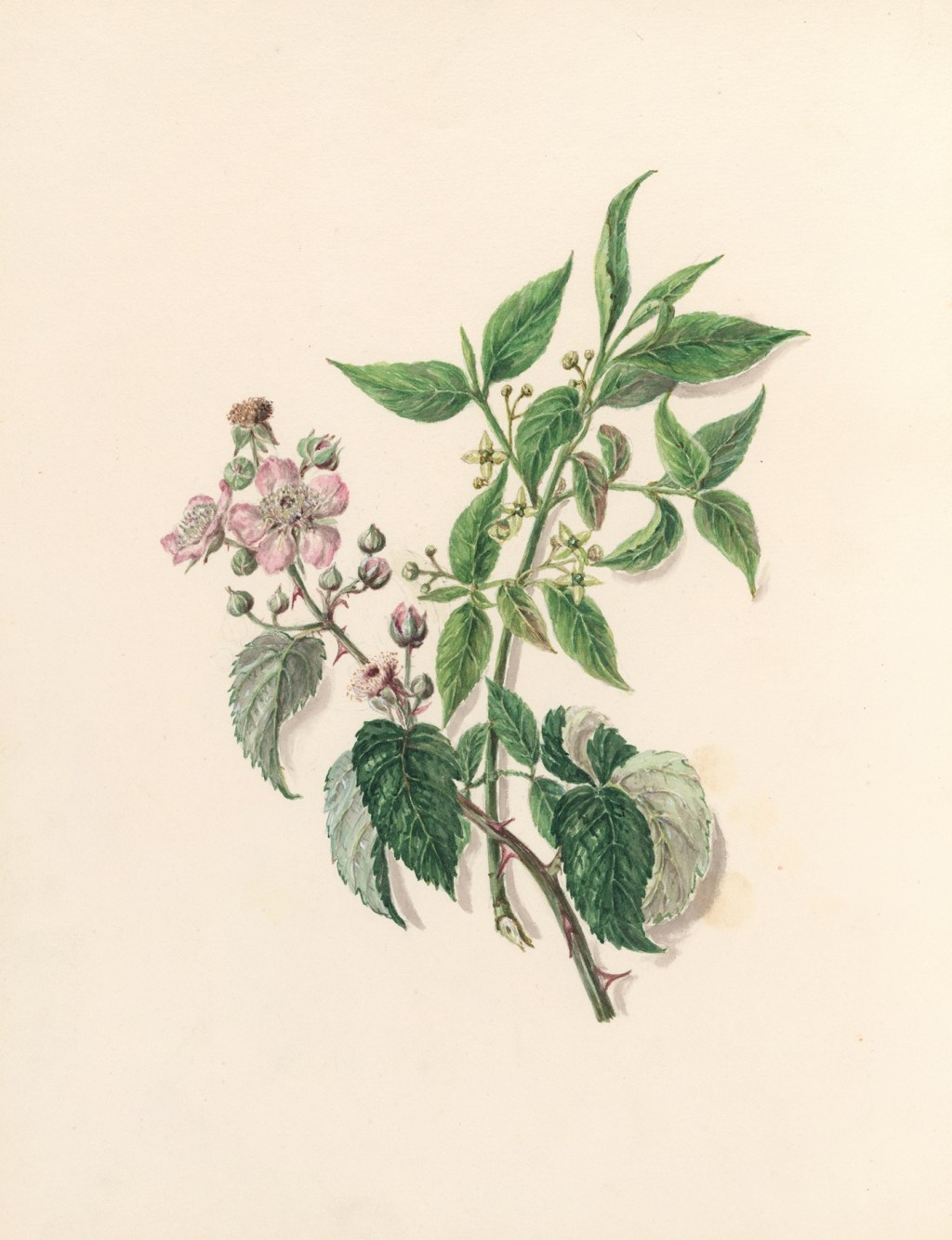 Poem – “Without Restriction” –&nbsp;9/9/2024