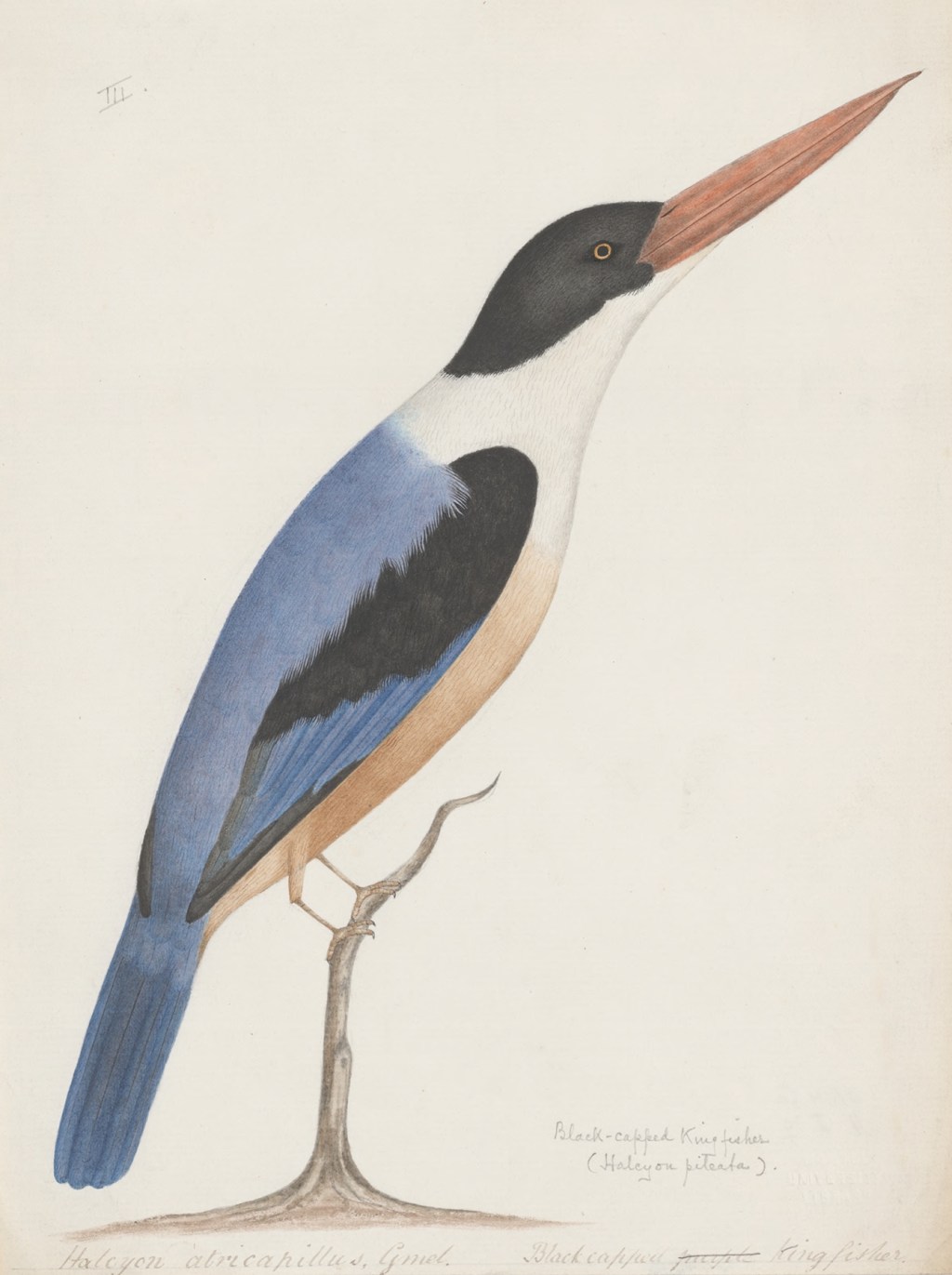 Poem – “Fly Without Wings” –&nbsp;6/20/2025