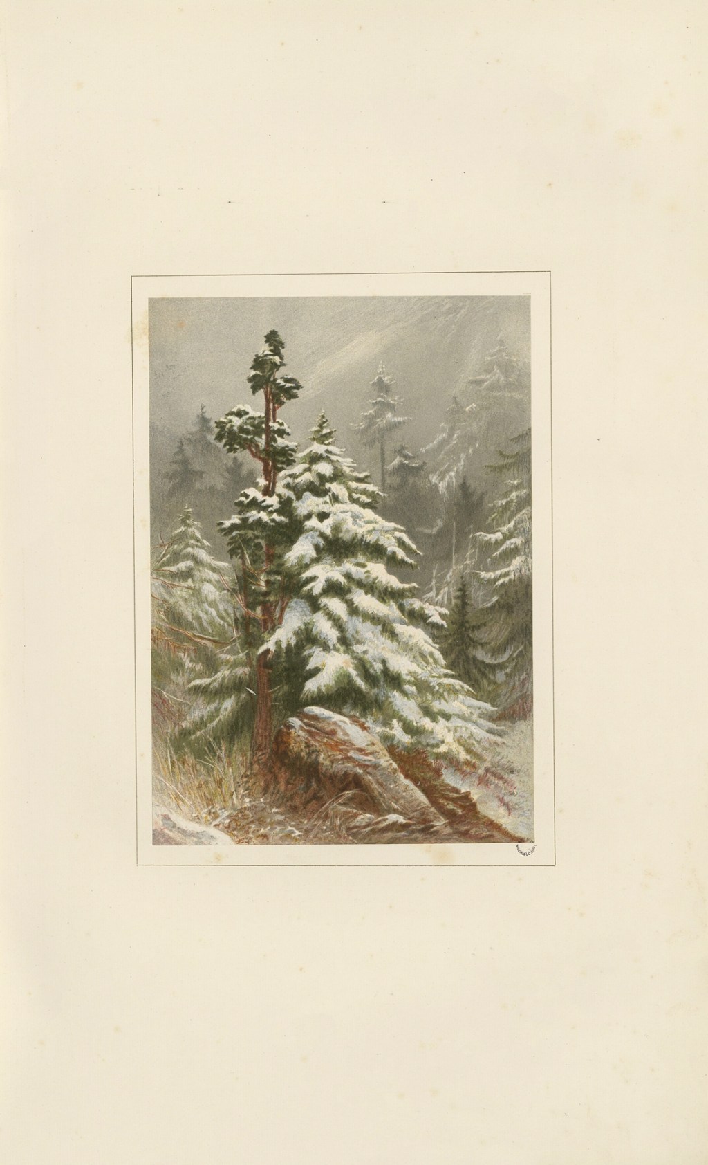 Poem – “Existing Elsewhere” –&nbsp;12/16/2025